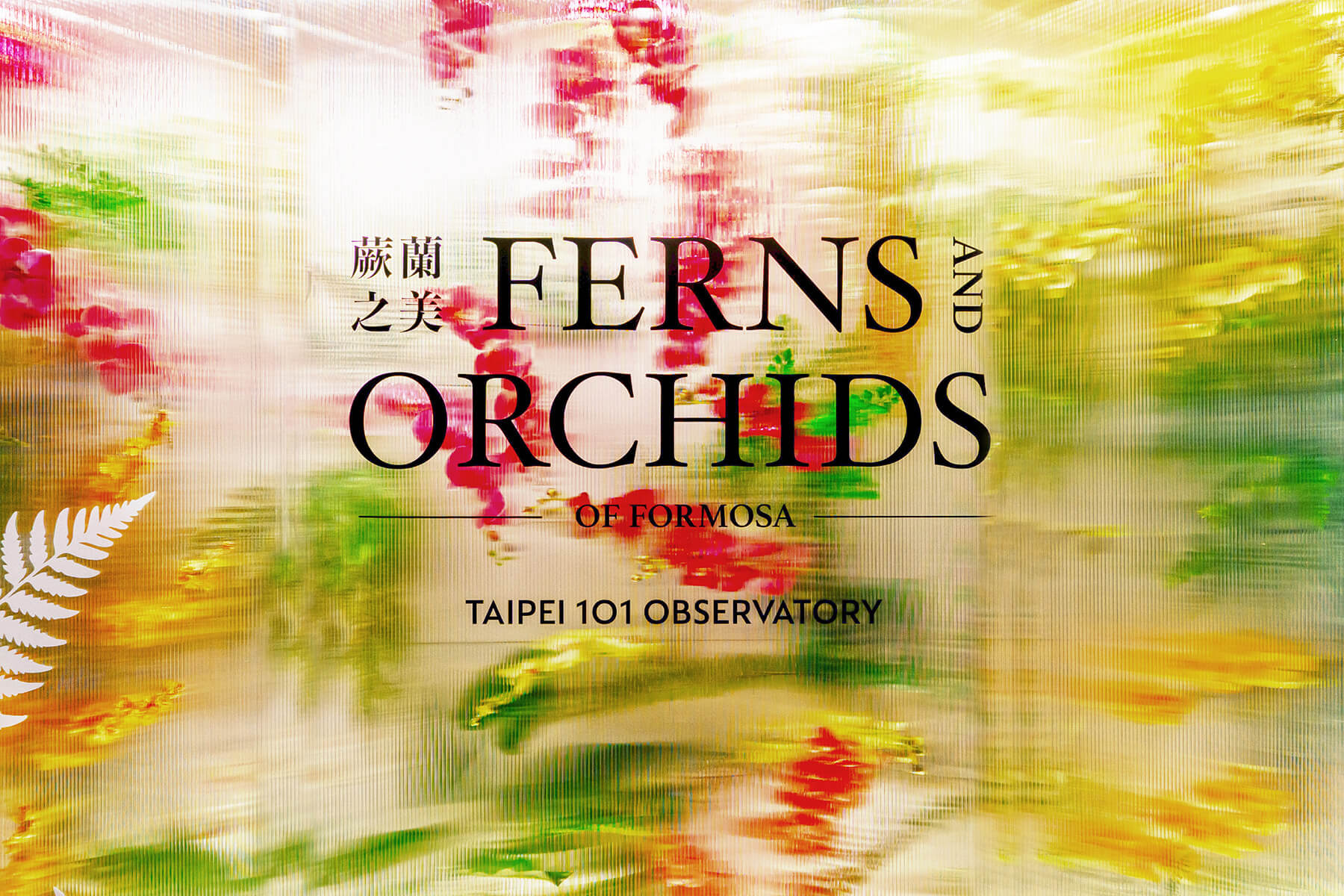 【台北101秘境花園觀景台】 雙人套票1899 登頂101F 蕨蘭秘境最高空中花園